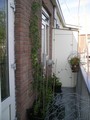 26/04/09: Balkon (62K)